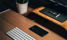 揭秘天涯神贴六大家族的江湖恩怨