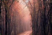 武汉装修热门论坛天涯，装修难题一网打尽！